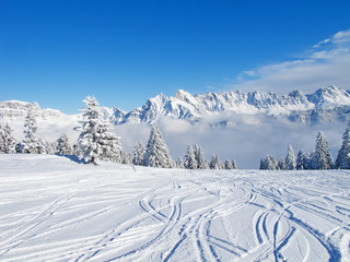 Fototapeta na wymiar Stok narciarski