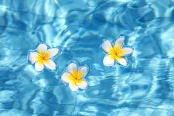 Gordijnen Tropical frangipani flower in water © swisshippo