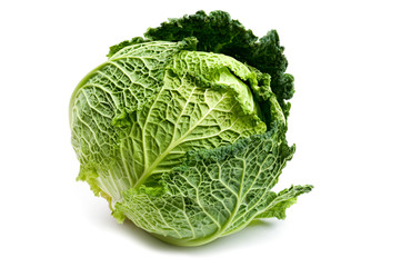 Obraz premium cabbage