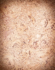 Image texture cork - wood surface.