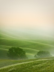 Hügelige Landschaft der Toskana © pitrs