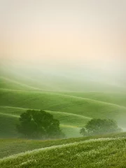  Hilly landscape of Tuscany © pitrs
