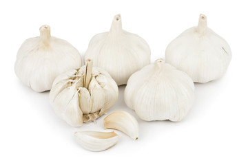 Garlic