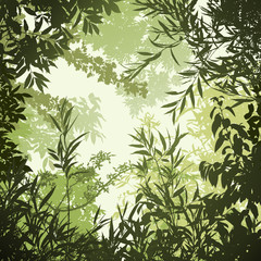A Floral Background with Trees and Leaves