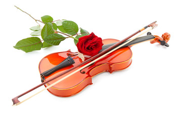 violin and red rose over white background © Sandra van der Steen