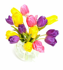 tulips in glass teapot isolated