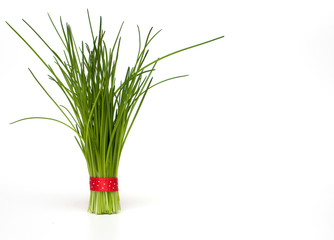 fresh chives tied with a bow