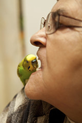 Senior woman with bird