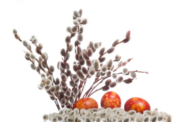 Three easter eggs with pussy willow