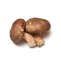 Shitake mushrooms