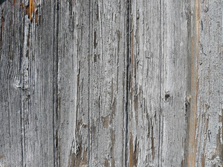 Old Wooden Panels