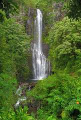Tropischer Wasserfall auf Maui, Hawaii (HDR)