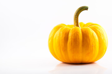 Pumpkin isolated