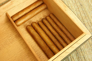 Collection of cigars in open humidor. Close-up.