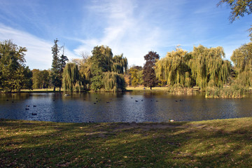 Lake in the autumn park, Prague