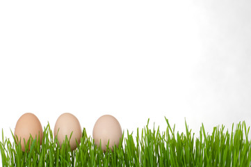 Easter,  Eggs, Easter grass