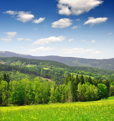 Fototapeta na wymiar Spring landscape in the national park Sumava - Czech Republic