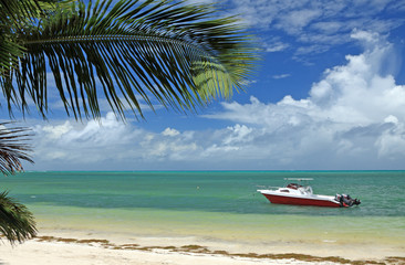 Obraz premium plage déserte des Seychelles