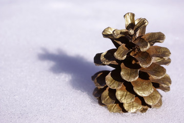 pomme de pin d&eacute;cor&eacute;e dans la neige 2