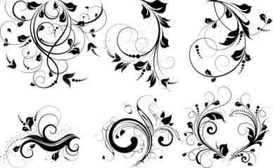Abstract floral background's set.