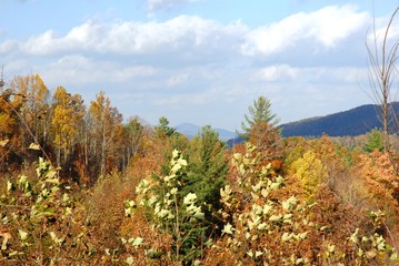 North Carolina Mountains