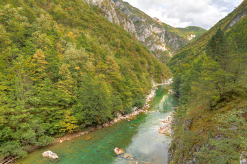 Fototapeta na wymiar River Tara canyon, Montenegro