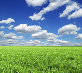 Obraz premium landscape