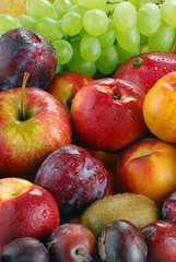 Composition with variety of fruits