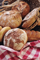fresh bread and wheat  food group