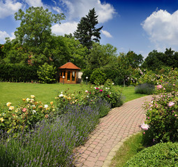 Garden with roses
