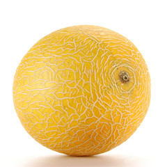 Melon isolated on white