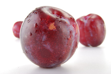 Freshly wahes plums isolated on white