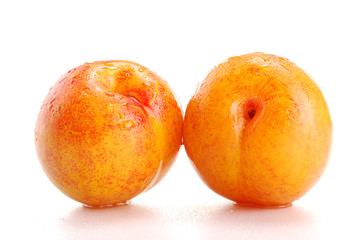 Two plums isolated on white