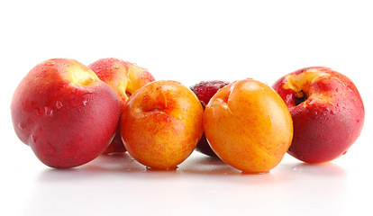 Fototapeta na wymiar Plums and peaches isolated on white