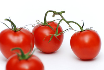 Fresh nature tomatoes