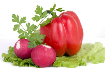 Vegetable still life isolated  on the white  background