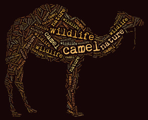 Textcloud: silhouette of camel