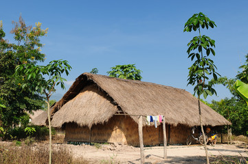 Fototapeta na wymiar Lao, Muang Sing - rural scene, ethnic house