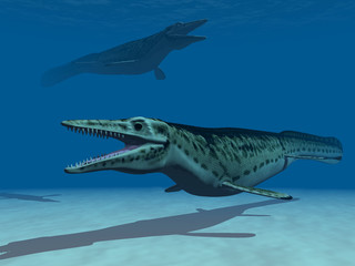 les mosasaurs