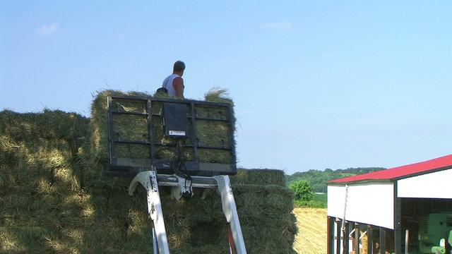 Farmers Loading Hay 03