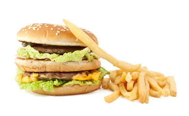 cheeseburger with fries