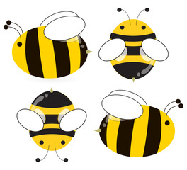 bee