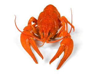 Boiled crawfish