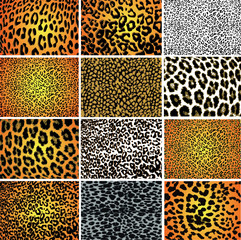 Collection of 12 vector skin animal texture