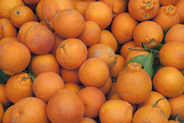 Oranges