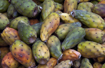 prikly pear