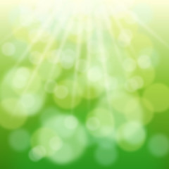 Green bokeh and sun beams in spring day. Natual background.