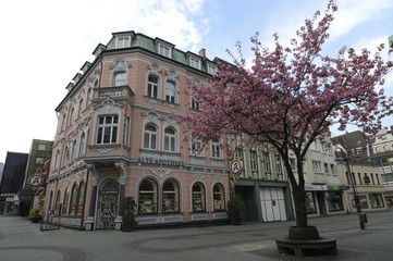 Obraz premium Alte Apotheke