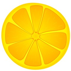 vector image slices of orange