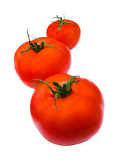 three tomatoes on white background